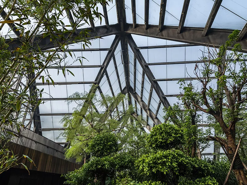 Why Choose a Steel Structure Botanical Hall for Modern Green Spaces?